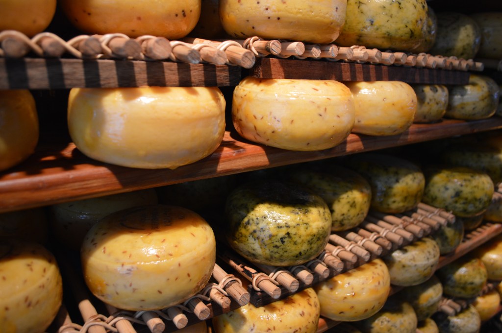 dutch cheese wheels on wooden shelves in amsterdam market
