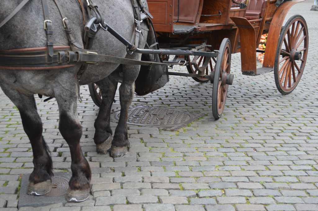 horse-drawn carriage on cobblestone street in brussels