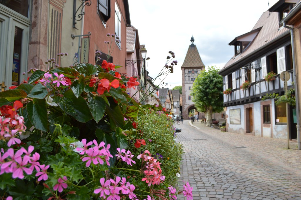 colorful flower-lined street in a medieval alsace village