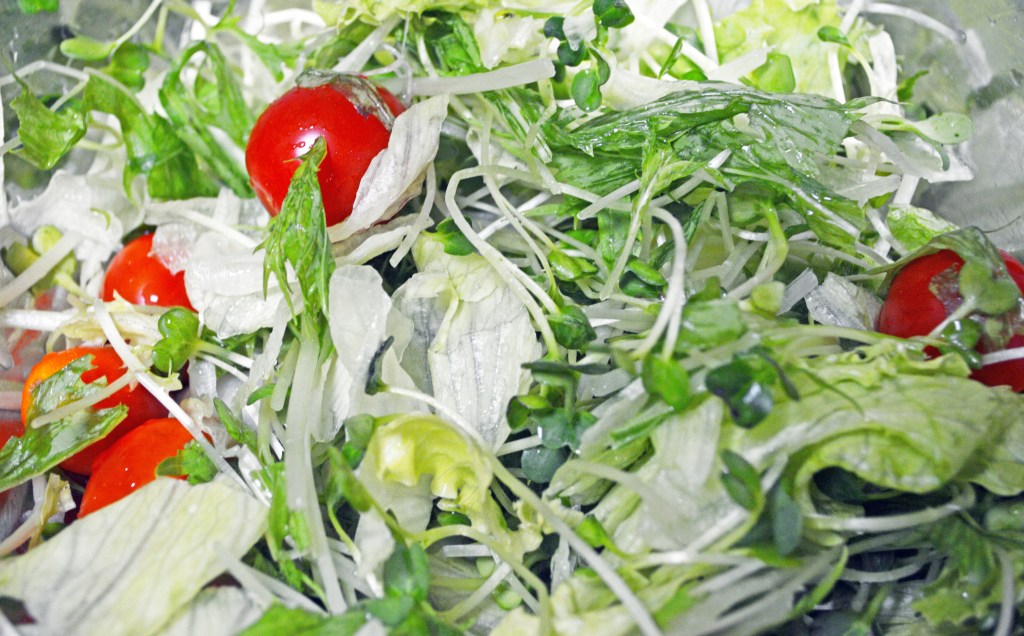 Fresh mixed green salad with cherry tomatoes and sprouts – Healthy and vegan-friendly dish