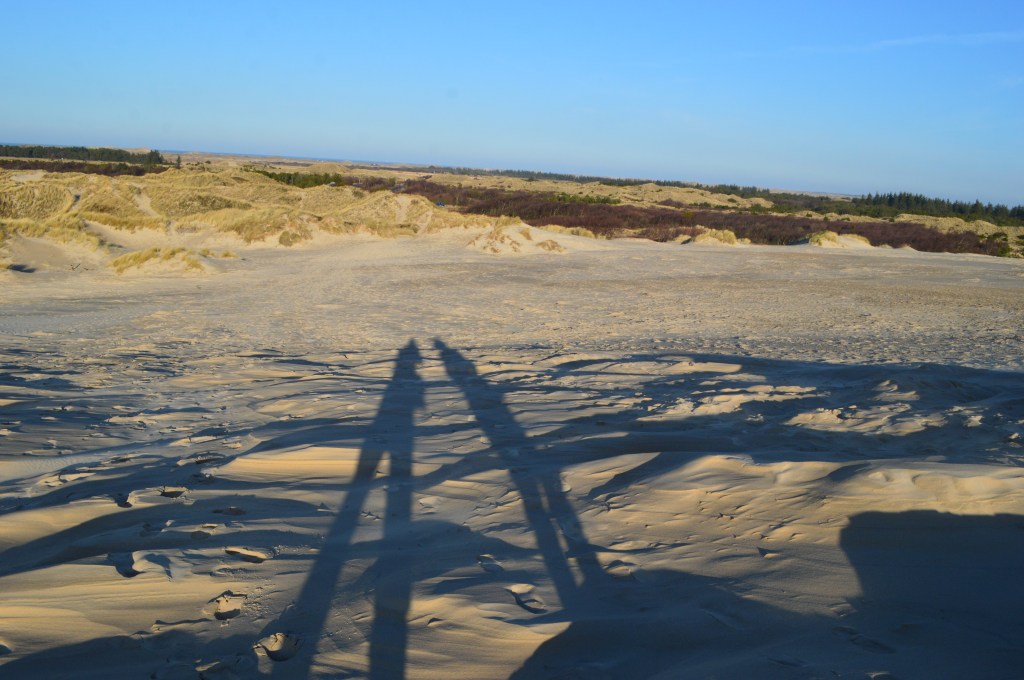 Long shadows cast on the sandy dunes of Grenen, Skagen