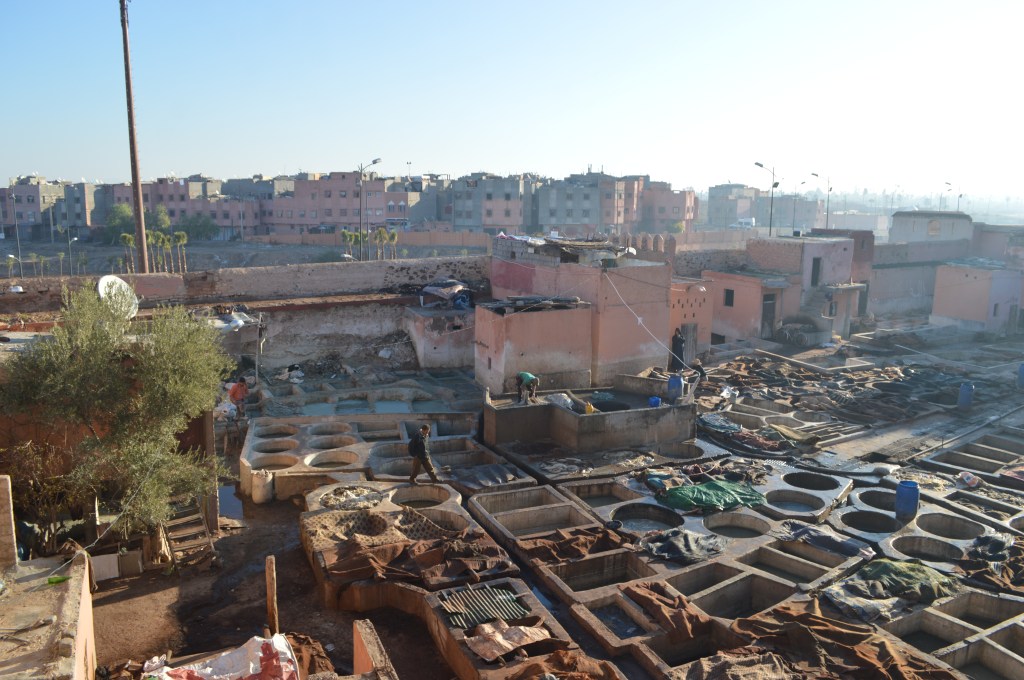 Traditional leather tannery in Fez, Morocco – Ancient dyeing process