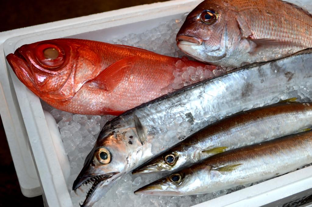 Fresh fish on ice at a Japanese fish market – Red snapper, mackerel, and other seafood