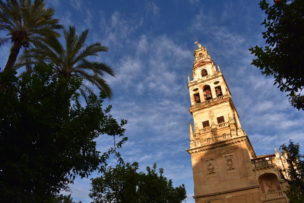 bell tower of the mezquita in córdoba – seen behind palm trees and blue sky
