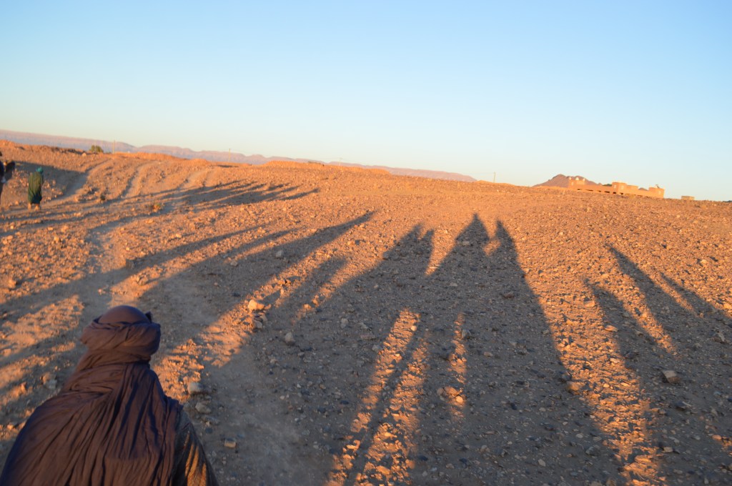 Sahara Desert landscape with long shadows at sunset, Morocco