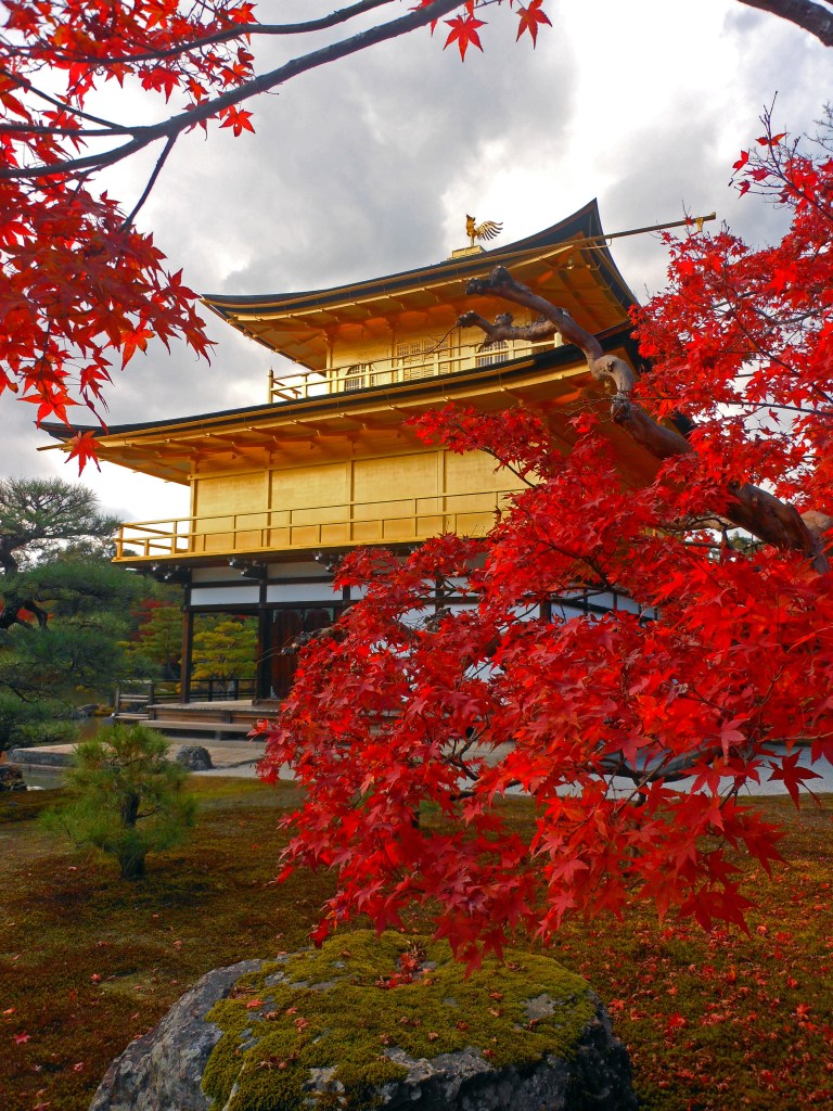 Kinkakuji Temple in Kyoto, Japan – The Golden Pavilion surrounded by vibrant autumn leaves