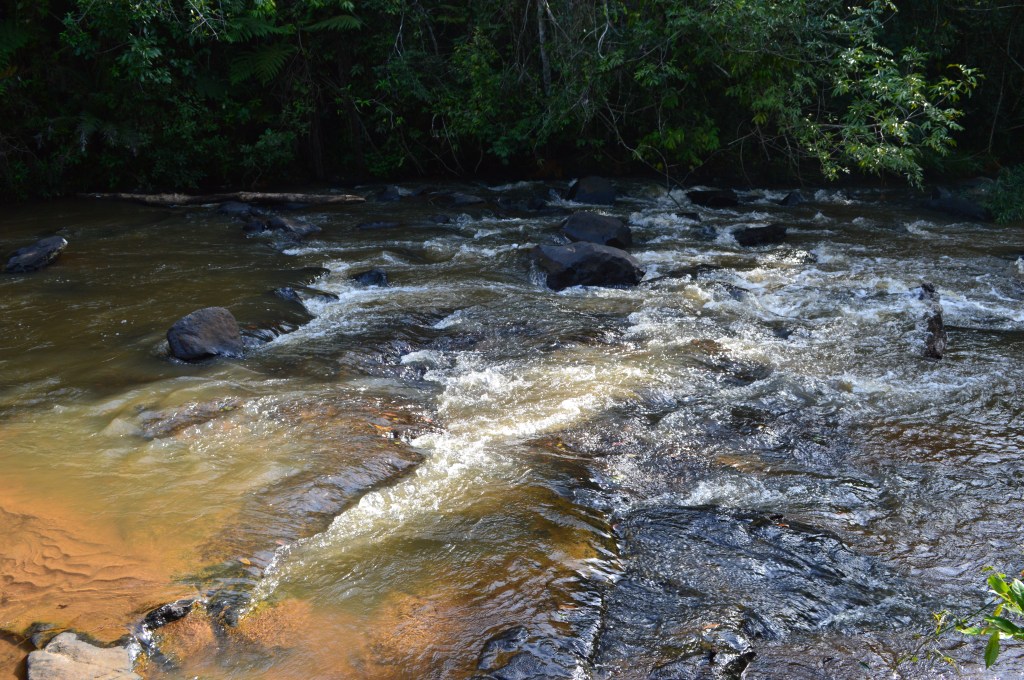 Flowing river through tropical forest in São Pedro, Brazil – nature travel stock image