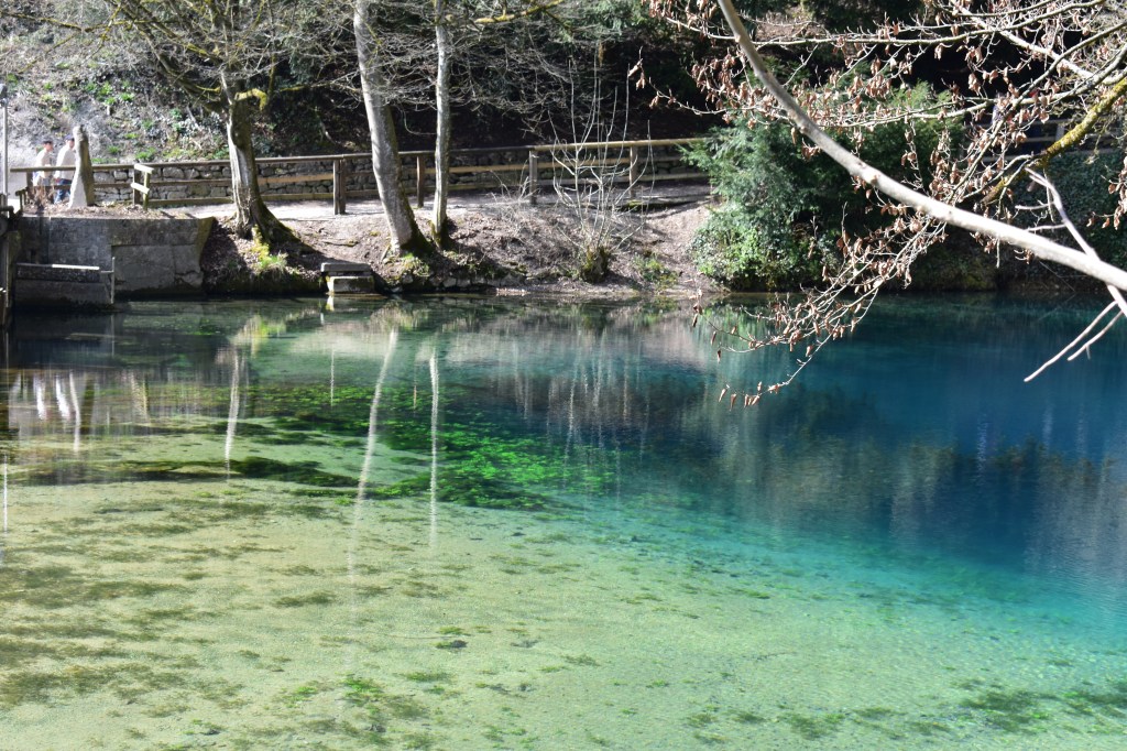 Clear green-blue water at the edge of the Blautopf spring in Blaubeuren - Blaubeuren stock photos