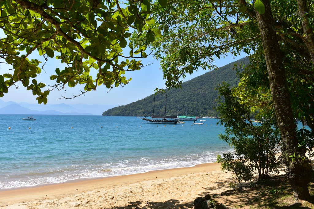 Tree framing a view of turquoise waters and boats in Ubatuba, Brazil - ubatuba stock photos