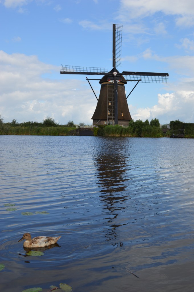 Traditional Dutch windmill with duck in the water at Kinderdijk – Kinderdijk stock photos