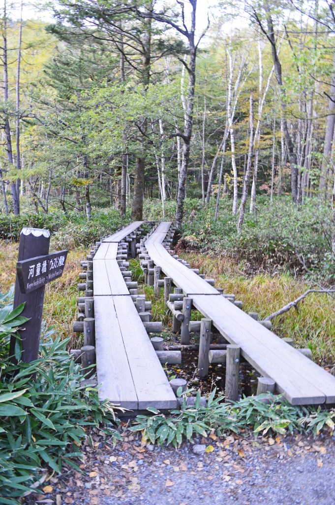 Wooden walking path through the forest in Kamikochi – Kamikochi stock photos