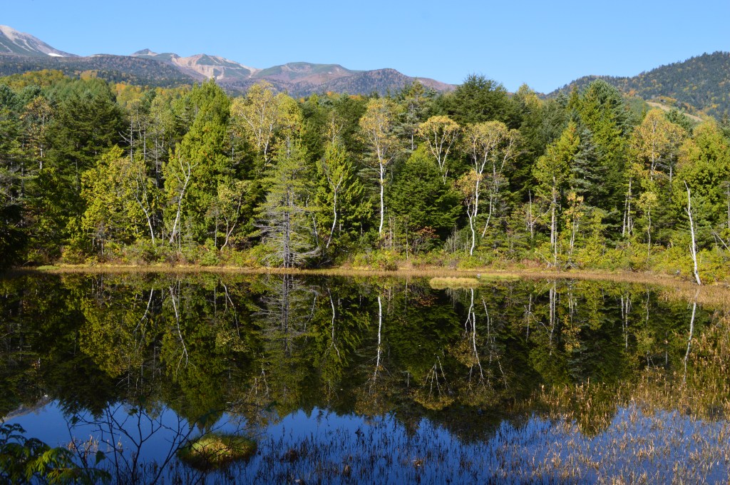 Trees reflected in the calm waters of a lake in Kamikochi – Kamikochi stock photos