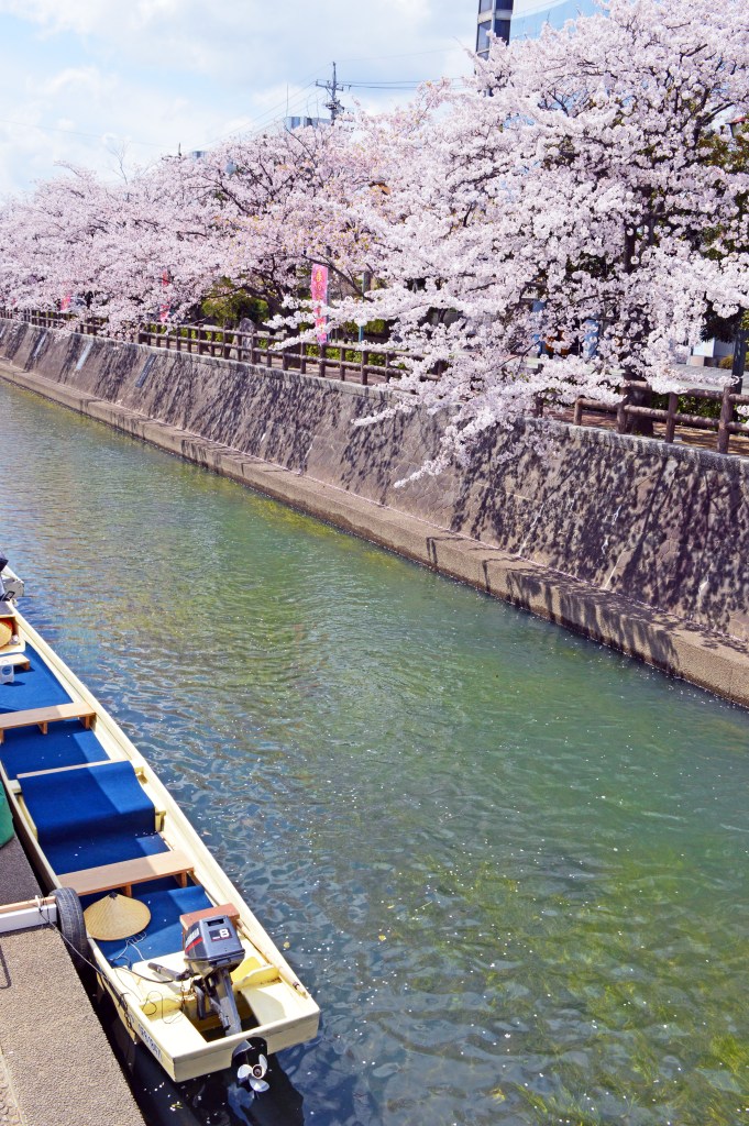 Scenic view of Ogaki canal lined with cherry blossoms and boats - Ogaki stock photos
