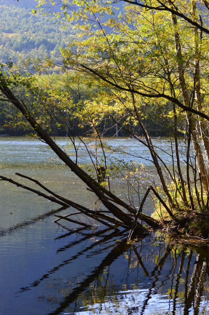 Trees reflected in the calm waters of a lake in Kamikochi – Kamikochi stock photos