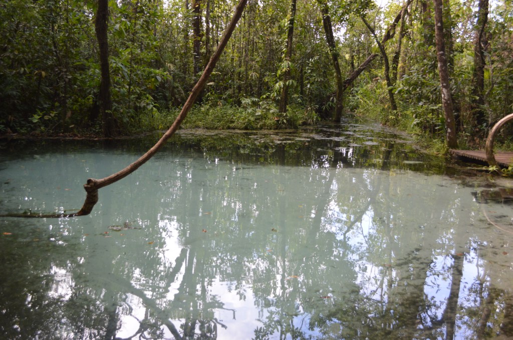 Clear blue lagoon surrounded by lush forest in São Pedro, Brazil – São Pedro stock photos