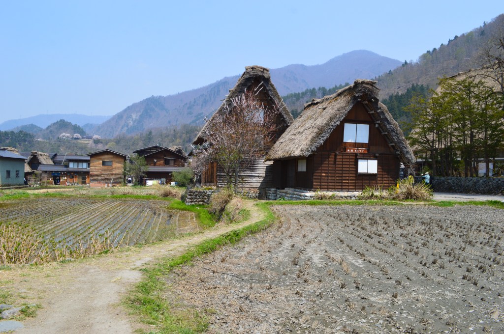 Gassho-style traditional houses under blue skies in Shirakawa-go village — Shirakawa-go stock photos