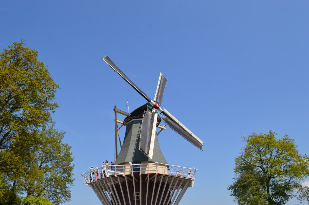 Traditional Dutch windmill with blue sky background at Keukenhof, a famous tulip park in the Netherlands.-Keukenhof stock photos