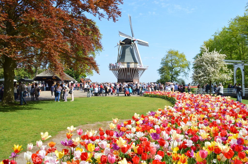 Colorful tulip garden in full bloom with a traditional Dutch windmill and a crowd of visitors at Keukenhof, the Netherlands.-Keukenhof stock photos